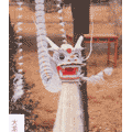 大白龙